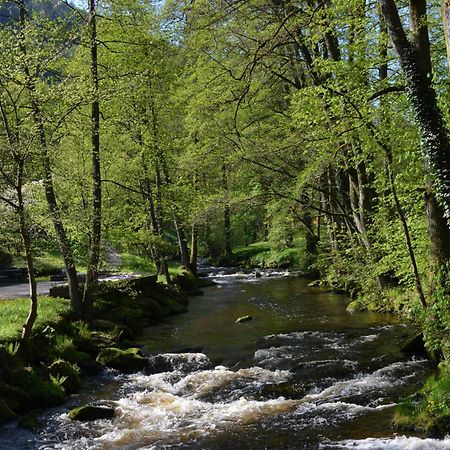Wildbad Luft Appartamento Bad Wildbad Esterno foto