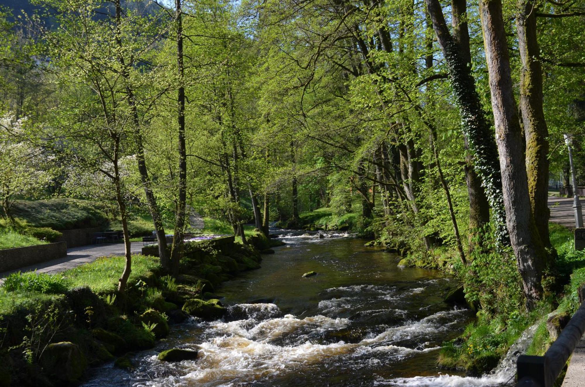 Wildbad Luft Appartamento Bad Wildbad Esterno foto